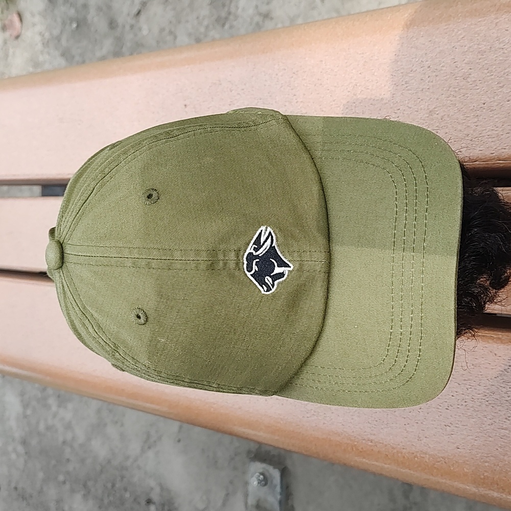 Flag No Fail Embroidered Strapback Hat Cap